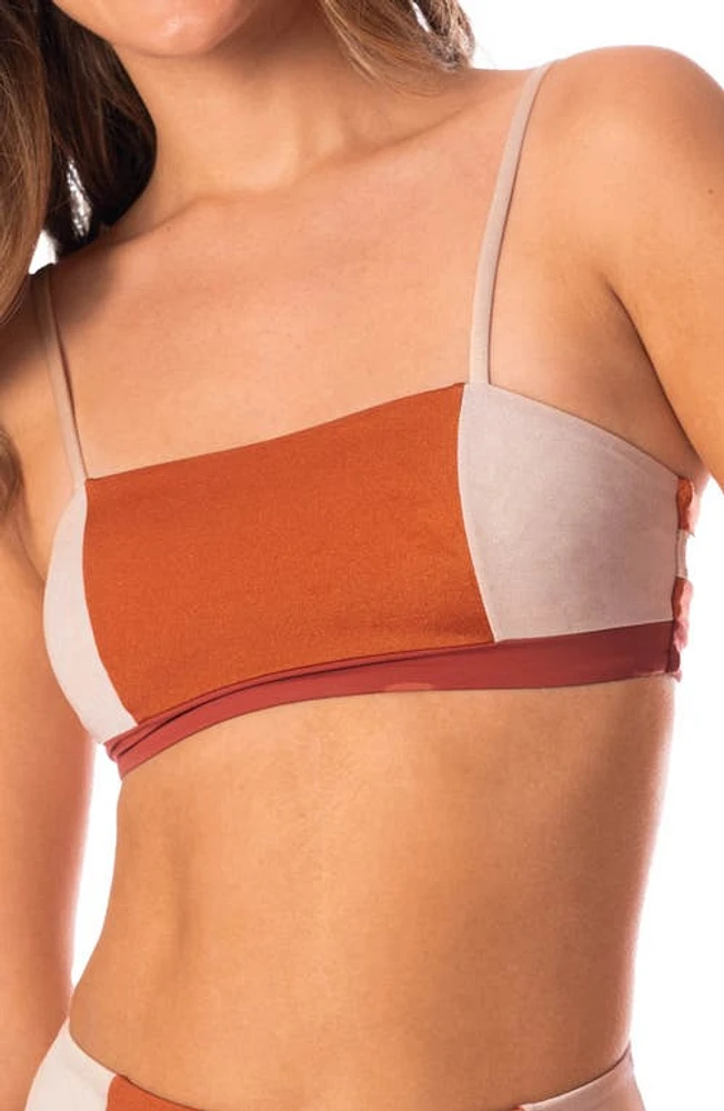 Maaji Chai Latte Chestnuts Storm Reversible Bikini Top Orange at Nordstrom,