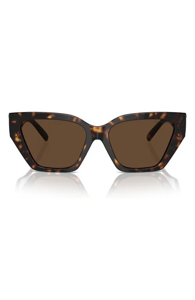 Tiffany & Co. 55mm Cat Eye Sunglasses in Havana at Nordstrom