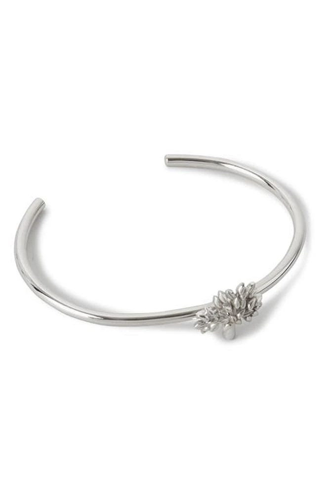 Mulberry Tree Bangle in Silver at Nordstrom, Size Small