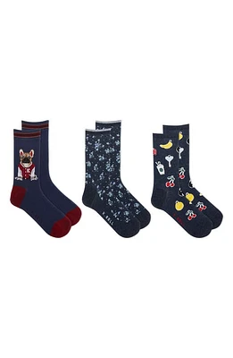 K Bell Socks 3-Pack French Bulldog Assorted Crew Socks in Nvast at Nordstrom, Size 9