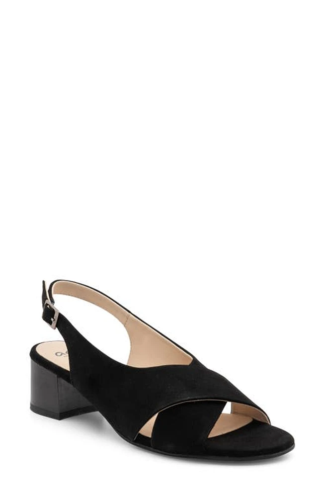 ara Petunia Slingback Sandal Black Suede at Nordstrom,