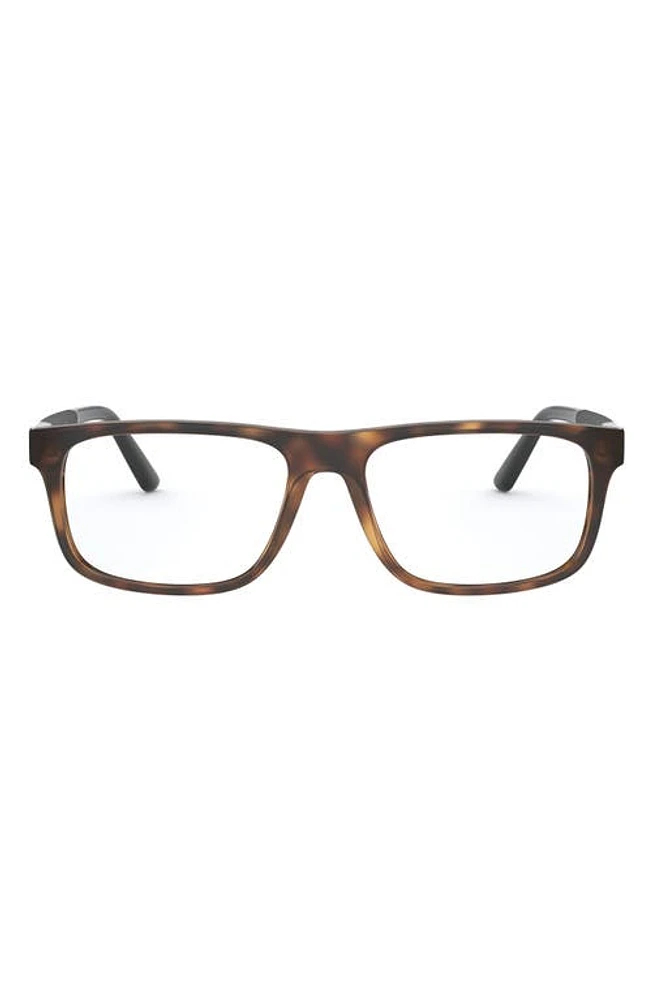 Polo Ralph Lauren 56mm Rectangular Optical Glasses in Dark Havana at Nordstrom