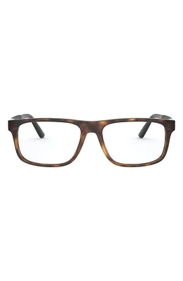 Polo Ralph Lauren 56mm Rectangular Optical Glasses in Dark Havana at Nordstrom