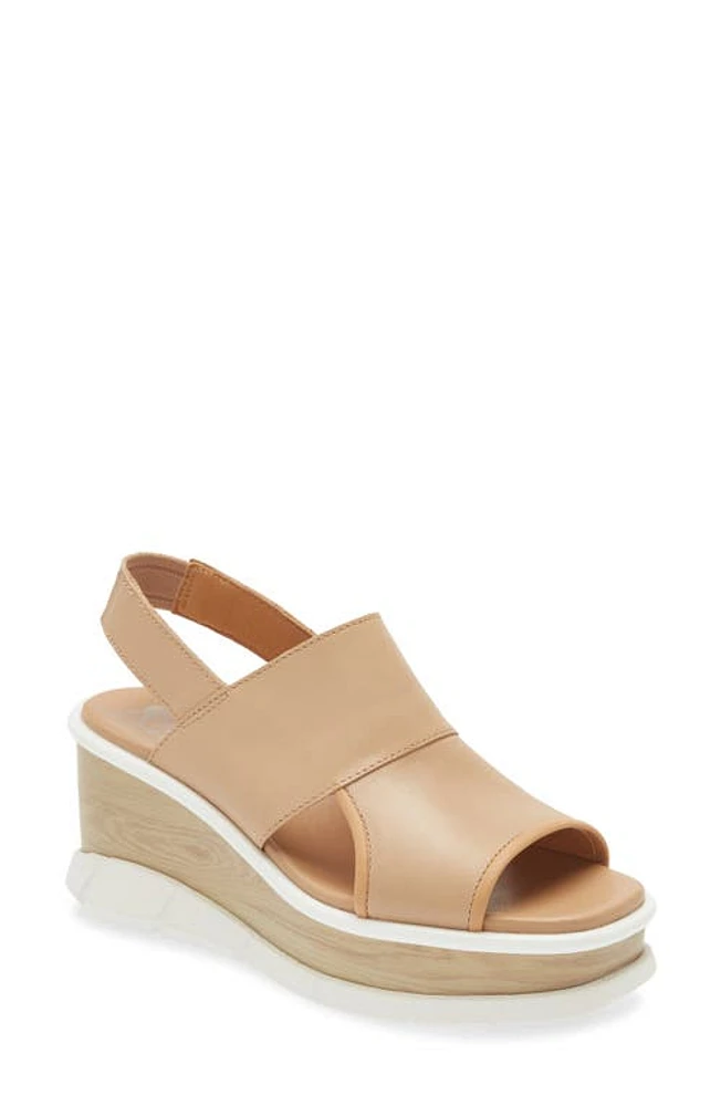 SOREL Joanie III Slingback Wedge Sandal Honest Beige White at Nordstrom,