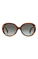 rag & bone 56mm Gradient Round Sunglasses in Brown Horn/Grey Shaded at Nordstrom