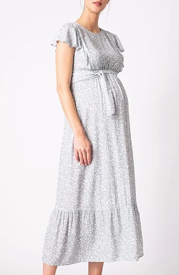 Seraphine Sage Maternity/Nursing Dress Sage/White at Nordstrom,