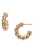 Child of Wild Twisted Sister Hoop Earrings in Gold at Nordstrom