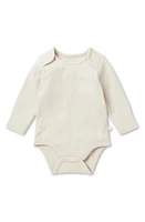 MORI Rib Long Sleeve Bodysuit in Ecru at Nordstrom