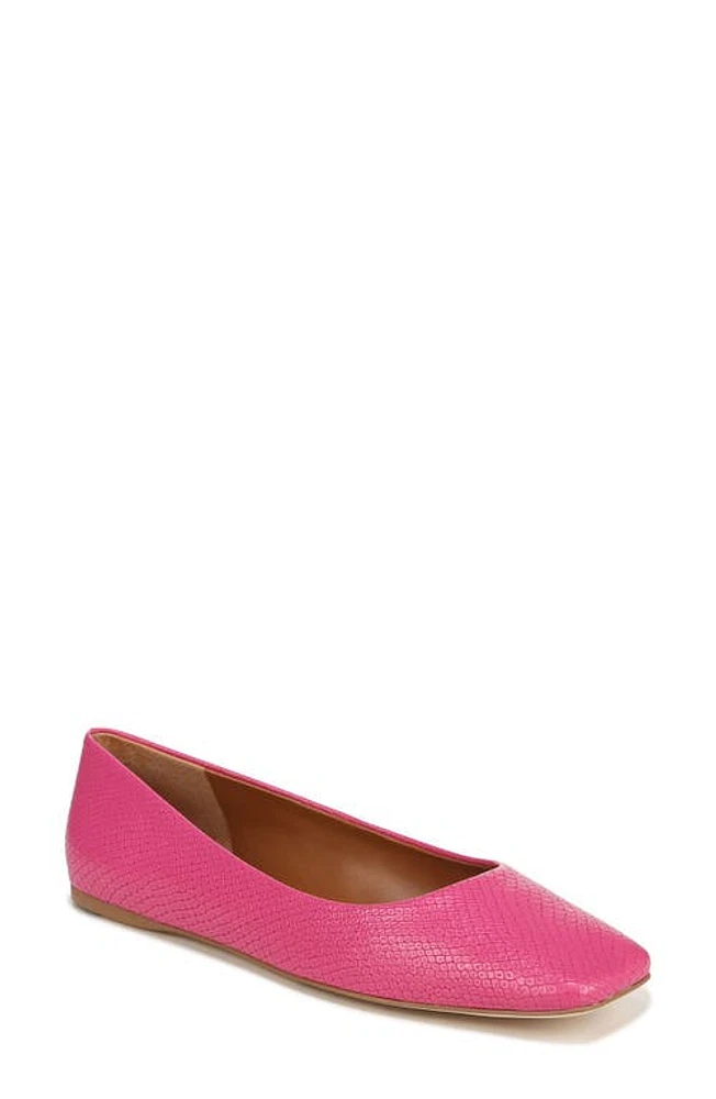 Sarto by Franco Flexa Amaya Ballet Flat Pink at Nordstrom,