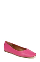 Sarto by Franco Flexa Amaya Ballet Flat Pink at Nordstrom,