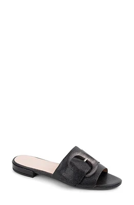 patricia green Venice Buckle Slide Sandal at Nordstrom,