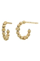 Bony Levy 14K Gold Beaded Hoop Earrings in 14K Yellow Gold at Nordstrom