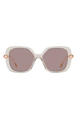 Swarovski 55mm Square Sunglasses in Violet at Nordstrom