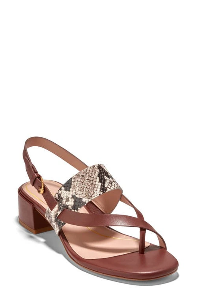 Cole Haan Anica Lux Slingback Sandal Sandollar Print Soho at Nordstrom,