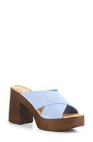 Bos. & Co. Wilma Crisscross Platform Sandal Sky Suede at Nordstrom,