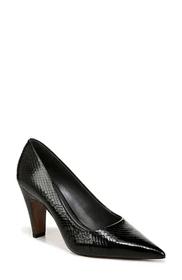 Sarto by Franco Sage Pointed Toe Pump Black Snake Print at Nordstrom,