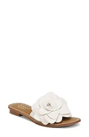 Franco Sarto Tina Raffia Slide Sandal Natural at Nordstrom,