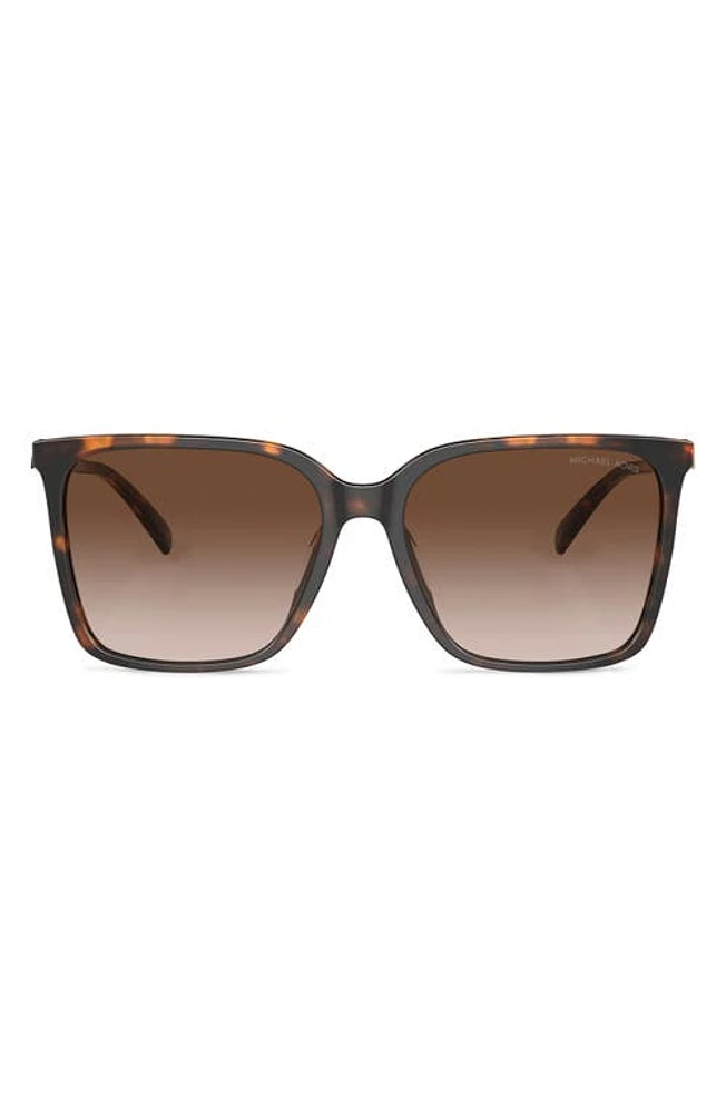 Michael Kors Canberra 56mm Square Sunglasses in Dk Tort at Nordstrom