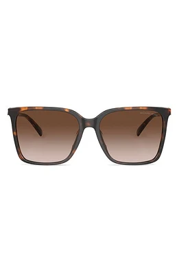 Michael Kors Canberra 56mm Square Sunglasses in Dk Tort at Nordstrom