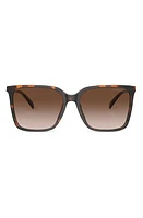 Michael Kors Canberra 56mm Square Sunglasses in Dk Tort at Nordstrom