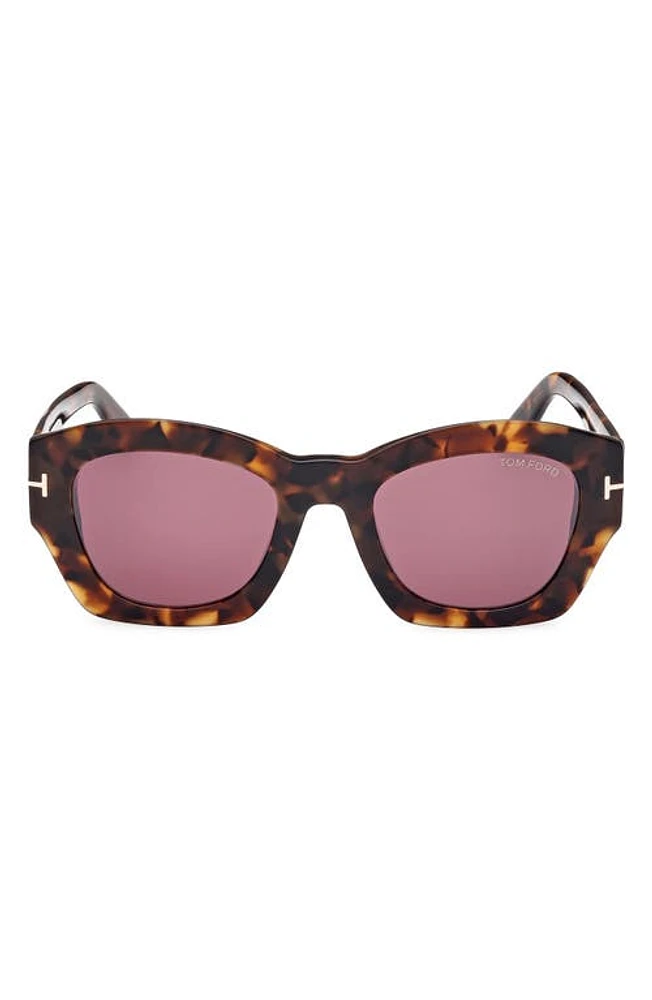 TOM FORD Guilliana 52mm Geometric Sunglasses in Shiny Dark Havana /Bordeaux at Nordstrom