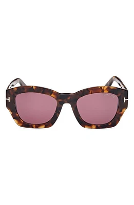 TOM FORD Guilliana 52mm Geometric Sunglasses in Shiny Dark Havana /Bordeaux at Nordstrom