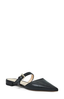 Bruno Magli Pasha Mule Black at Nordstrom,