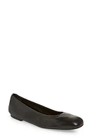 Stuart Weitzman Leather Ballet Flat at Nordstrom