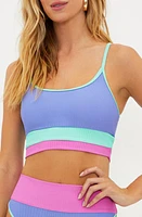 Beach Riot Eva Colorblock Rib Bikini Top High Tide at Nordstrom,