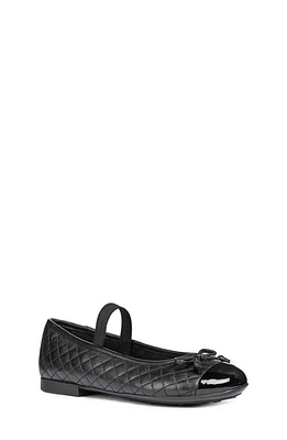 Geox Plie Mary Jane Flat Dark Black at Nordstrom,