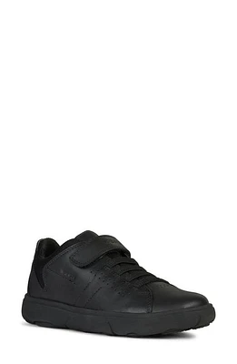 Geox Nebcup Sneaker Black at Nordstrom,