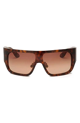 DEZI BlockedT 125mm Oversize Shield Sunglasses in Fiery Tortoise /Sienna Faded at Nordstrom