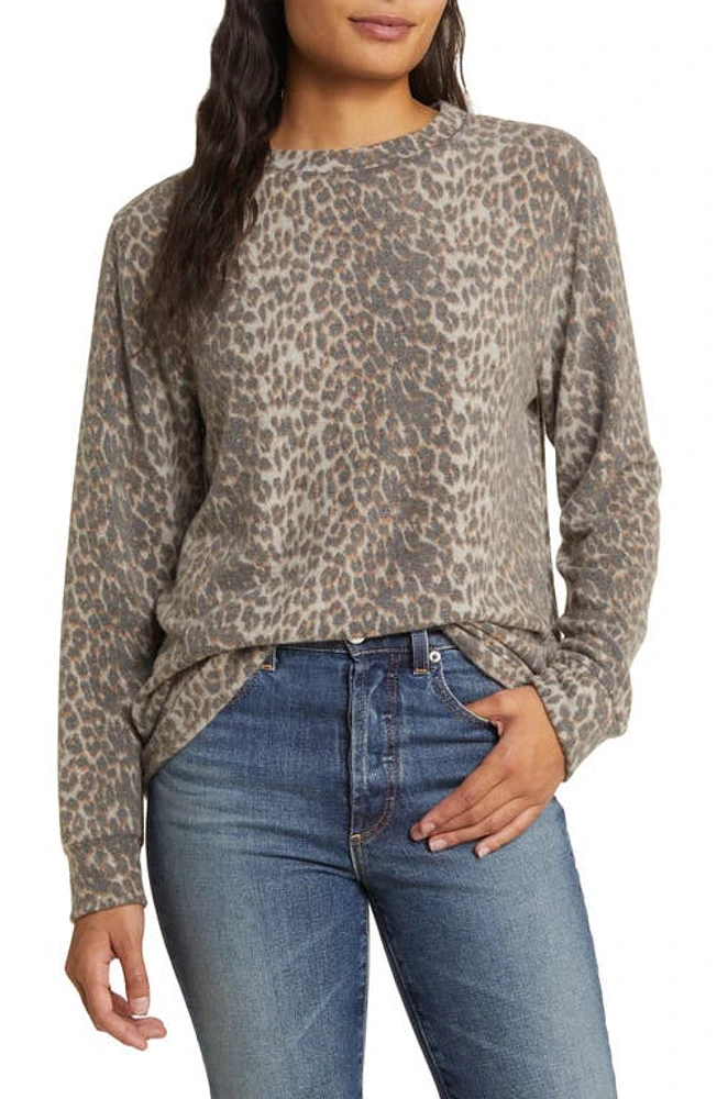 Loveappella Leopard Print Long Sleeve Hacci Knit Top at Nordstrom,