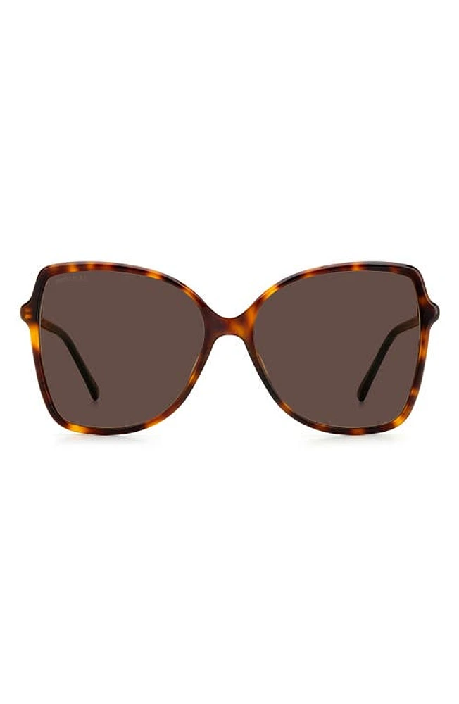 Jimmy Choo Fedes 59mm Square Sunglasses in Havana /Brown at Nordstrom