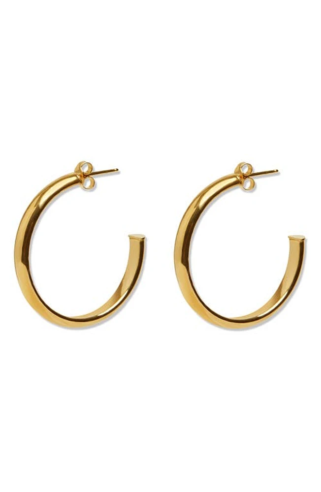 Argento Vivo Sterling Silver Hoop Earrings in Gold at Nordstrom