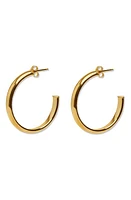 Argento Vivo Sterling Silver Hoop Earrings in Gold at Nordstrom