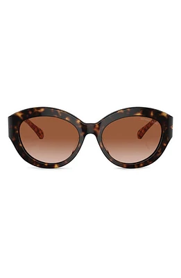 Michael Kors Brussels 54mm Cat Eye Sunglasses in Dk Tort at Nordstrom