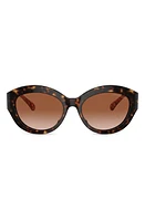 Michael Kors Brussels 54mm Cat Eye Sunglasses in Dk Tort at Nordstrom