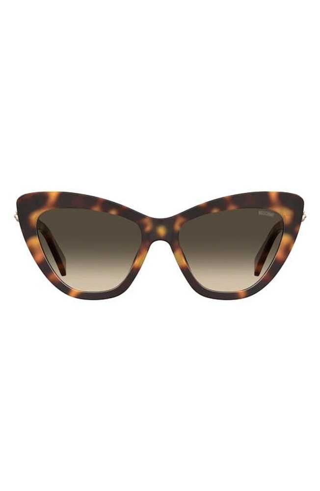 Moschino 54mm Gradient Cat Eye Sunglasses in Havana at Nordstrom