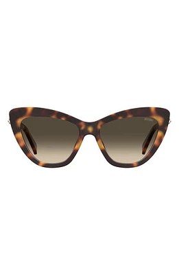 Moschino 54mm Gradient Cat Eye Sunglasses in Havana at Nordstrom