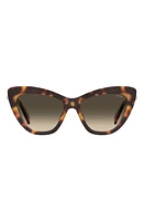 Moschino 54mm Gradient Cat Eye Sunglasses in Havana at Nordstrom