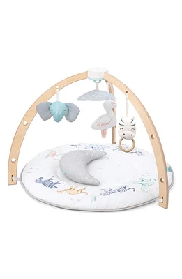 aden + anais Play & Discover Baby Activity Gym in Rising Start at Nordstrom