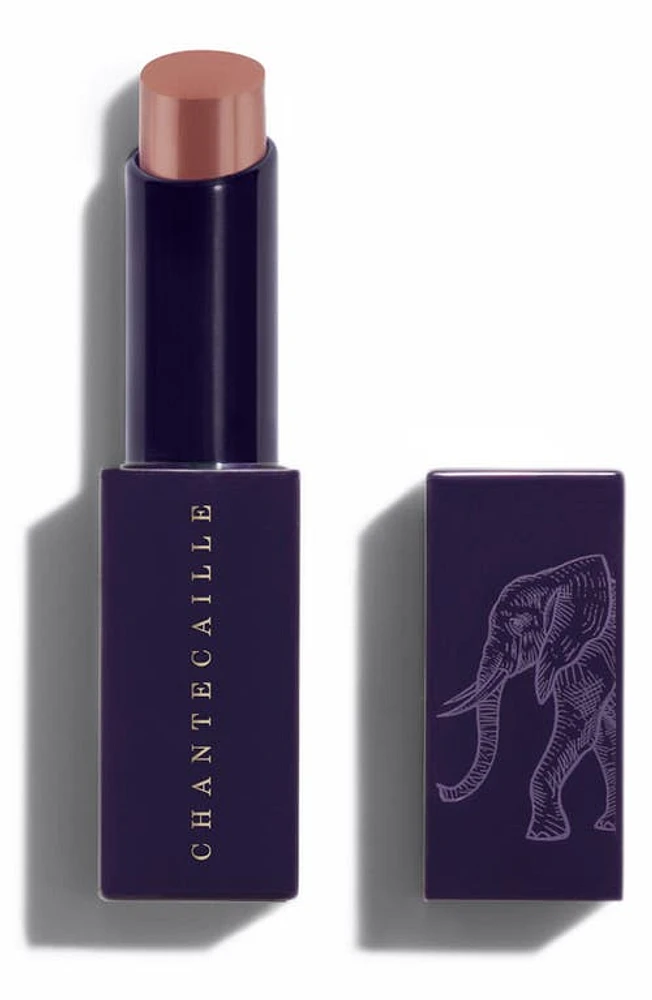 Chantecaille Lip Veil Lipstick in Tamboti at Nordstrom