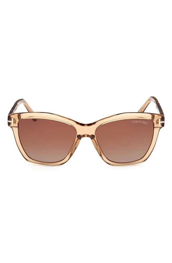 TOM FORD Lucia 54mm Gradient Square Sunglasses in Beige Vintage Havana /Brown at Nordstrom