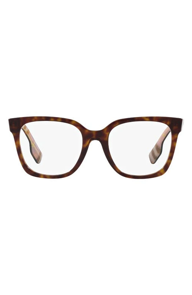 burberry Evelyn 50mm Square Optical Glasses in Dark Havana at Nordstrom