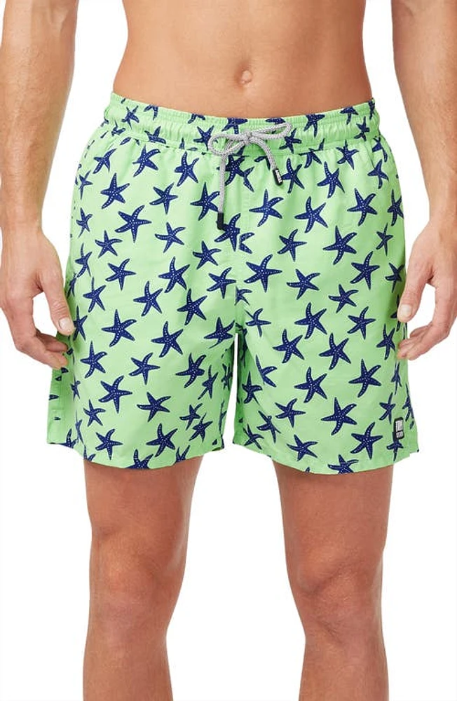 Tom & Teddy Starfish Print Swim Trunks Fresh Green/Blue at Nordstrom,