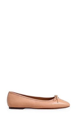 Madewell The Anelise Ballet Flat at Nordstrom,