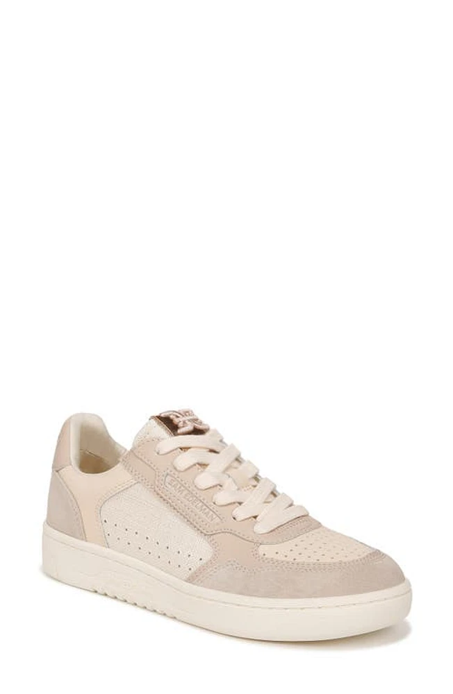 Sam Edelman Harper Sneaker Almond/Limestone/Linen at Nordstrom,