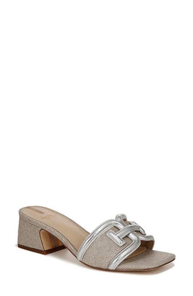 Sam Edelman Waylon Slide Sandal Silver at Nordstrom,