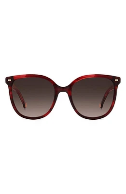 Carolina Herrera 55mm Round Sunglasses in Burgundy/Brown Gradient at Nordstrom